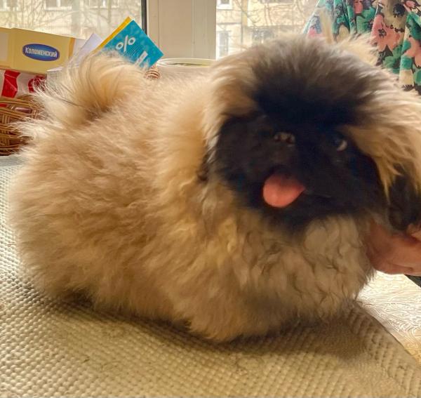 Прикрепленное изображение: IMG-20250405-WA0028.jpg